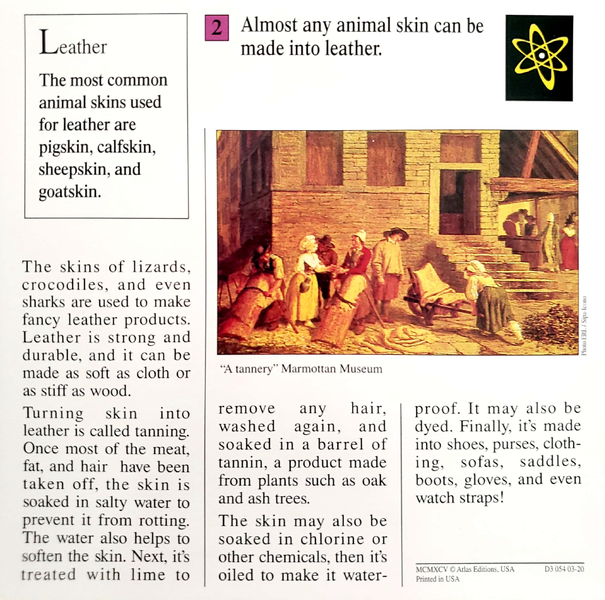 File:Leather quiz card back.png