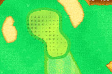 The green from Hole 17 of the Mushroom Course from Mario Golf: Advance Tour