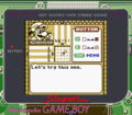 Mario's Picross SGB Clear border.png