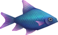 Fish (blue)