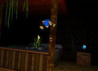 A Golden Banana and a blue Banana Bunch for Lanky Kong in Gloomy Galleon.