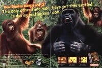 Donkey-Kong-Land-2 print ad.jpeg