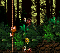 Forest Frenzy 6.png