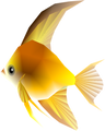 Fish (yellow)