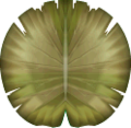 Texture of a sickly leaf boat from Super Mario Sunshine