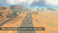 A mission in "Mario Kart World"