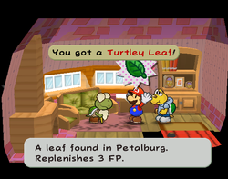 Mario getting a Turtley Leaf from Kroop in Petalburg of Paper Mario: The Thousand-Year Door.