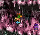 The level Pot Hole Panic (Donkey Kong Country 3)