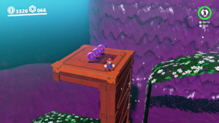 In the secret area with the "Flower Road Run" Power Moon.