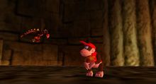 Diddy Kong noticing a small dragonfly resembling Dogadon.