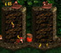 Perched Neckies throwing coconuts in Vulture Culture in Donkey Kong Country