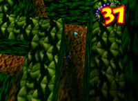 A blue Banana Bunch in Creepy Castle.