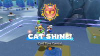 Collecting a Cat Shine in Bowser's Fury