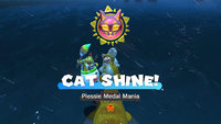 Collecting a Cat Shine in Bowser's Fury