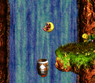 The level Rocket Barrel Ride from Donkey Kong Country 3: Dixie Kong's Double Trouble!