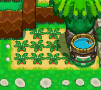 The Wiggler Family's farm in Dimble Woods