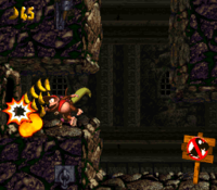The Kongs open the entrance to the second Bonus Area of Castle Crush in Donkey Kong Country 2: Diddy's Kong Quest