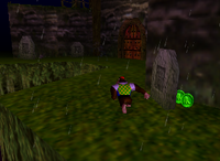 A set of green Banana Coins in Creepy Castle.