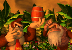 Bongo - Super Mario Wiki, the Mario encyclopedia