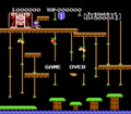 Donkey Kong Jr. NES Game Over.png