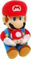 Mario holding a Mushroom