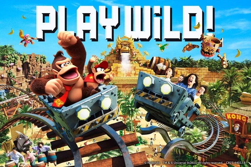 File:SNW Donkey Kong Country Play Wild 2.jpg