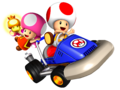 Artwork of Toad and Toadette, using the Toad Kart