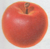 Artwork of an Apple from Donkey Kong Bananza
