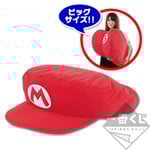 A prize from a Super Mario Ichibankuji campaign