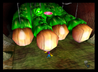 Tiny Kong inside of King Krusha K. Rool's shoe during her part of the boxing arena match in Donkey Kong 64
