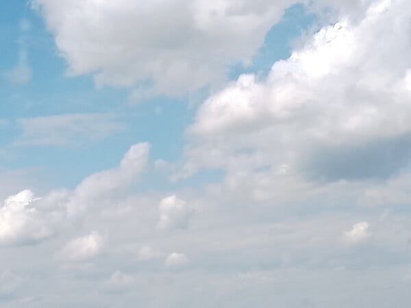 Shroom230Cloudgazing-BBQTurtle2.jpg
