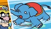 An elephant
