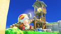 Captain Toad field.png