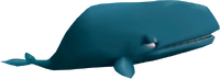 DKBB Blue Whale.png