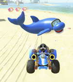 Dolphin performing a trick.