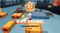 Five Cat Shine Shards