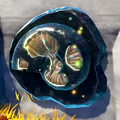 An ammonite fossil in the Lagoon Layer
