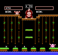 Donkey Kong Jr. winning