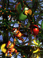 The Kongs and Squawks in a bramble maze