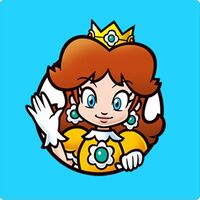 PN Mushroom Kingdom Memory Match-Up Game Daisy.jpg