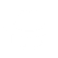 Dashing Thief