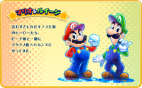 Character Insight1 - Mario & Luigi Dream Team.png