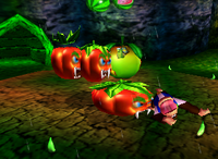 A set of green Bananas in Fungi Forest.
