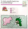 "To which scientific family does the jellyfish belong?"