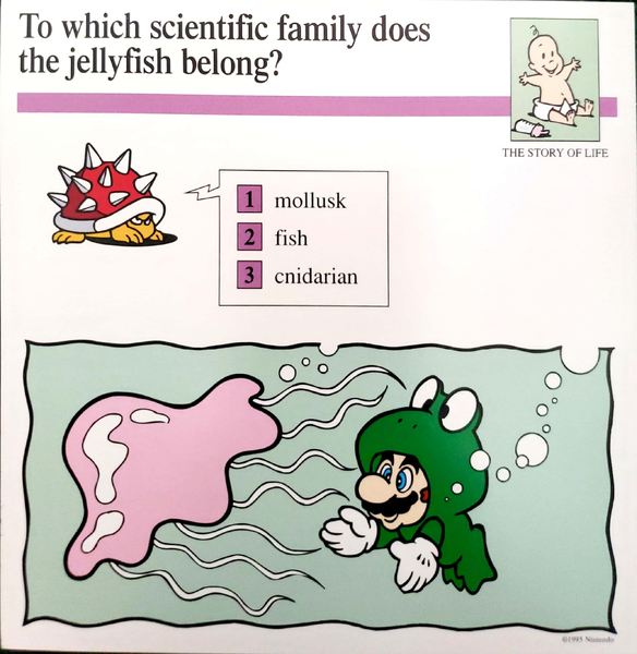 File:Jellyfish quiz card.png
