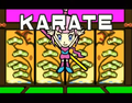 Kat saying karate