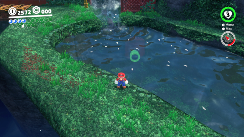 File:SMO Wooded Moon 39.png