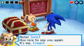 Mario & Sonic at the Olympic Winter Games (DS) screenshot