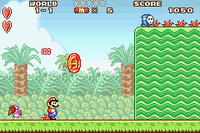 Super Mario Advance Ace Coin Screenshot