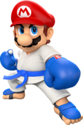 Mario in a karate gi.